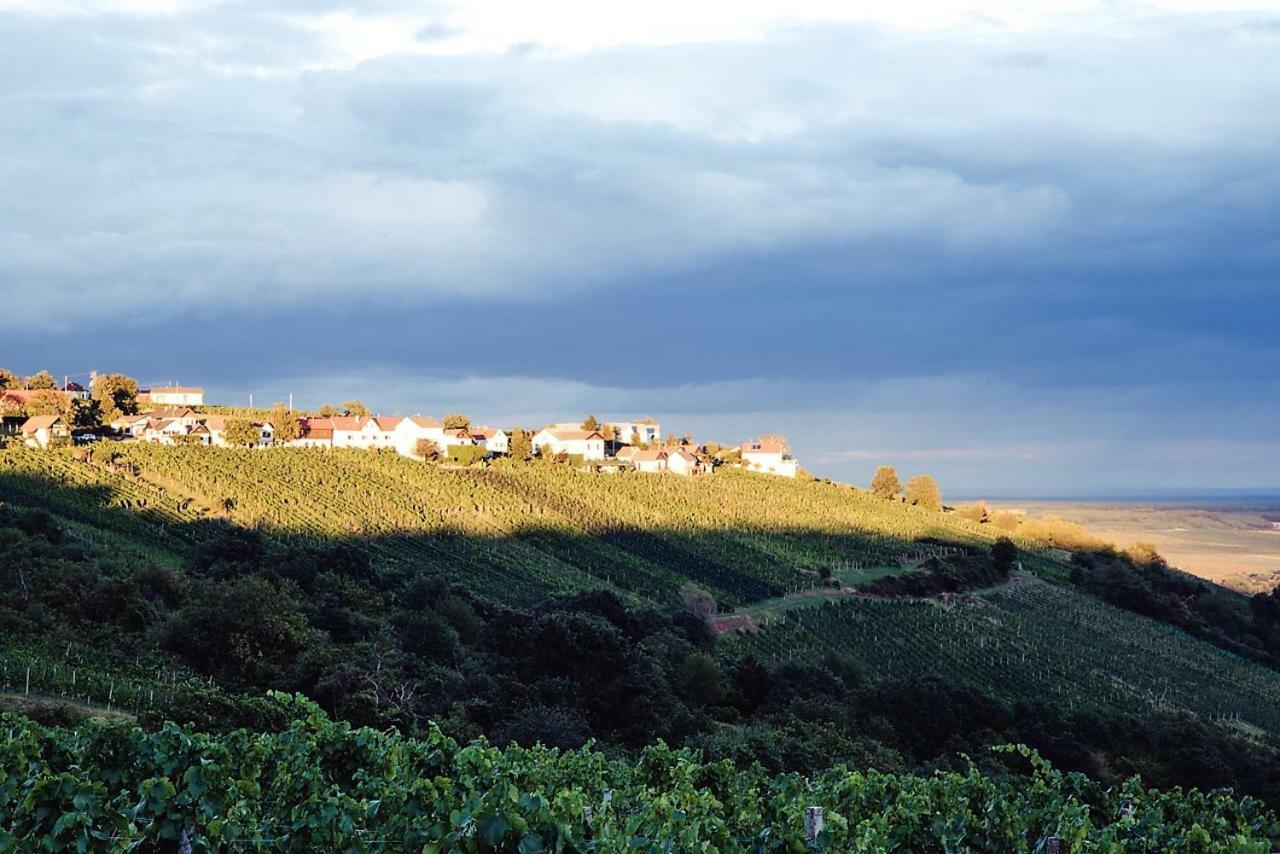 הוילה Eisenberg an der Pinka Weinlofts Weinloft II מראה חיצוני תמונה
